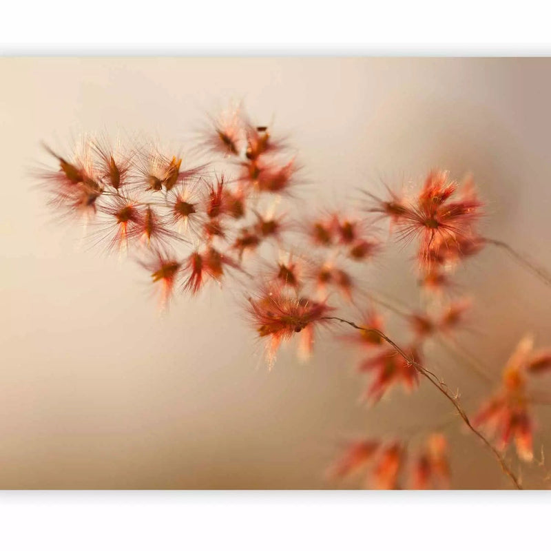 Wall Murals with decorative small flowers in shades of orange, 60677 G-ART