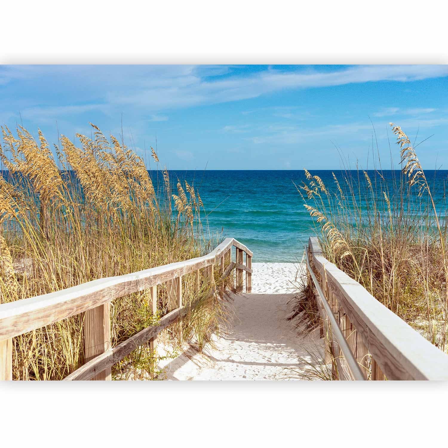 Vasaras fototapetes - Vasara pie jūras, 71258  G-ART