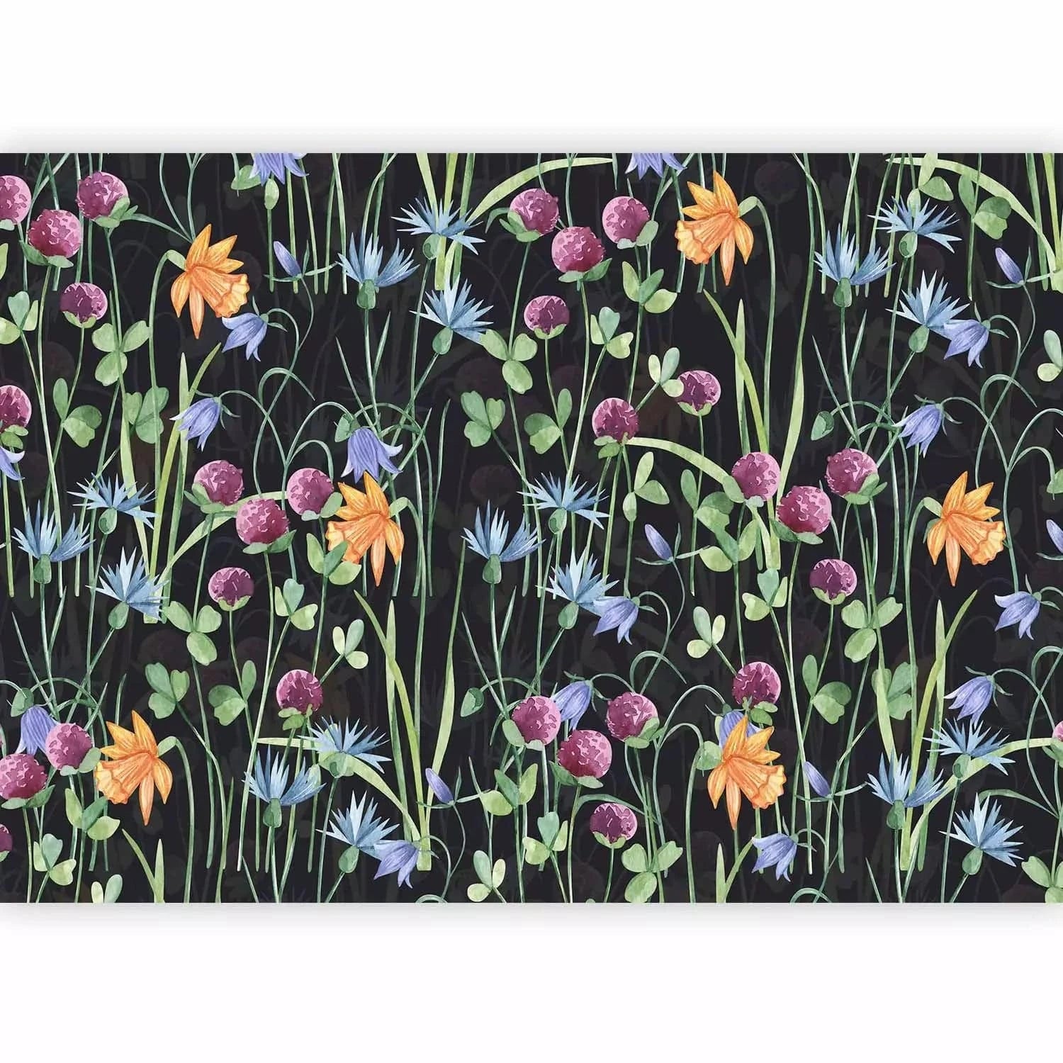 Fototapetes - Vasaras pļava – savvaļas ziedi un zāle uz melna fona G-ART