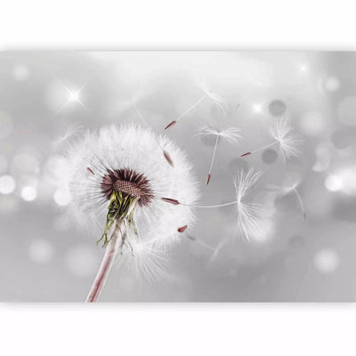 Wall Murals with dandelion - wind touch, 65629 - Buy G -Art