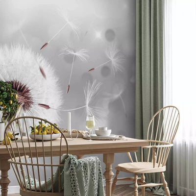 Wall Murals with dandelion - wind touch, 65629 - Buy G -Art