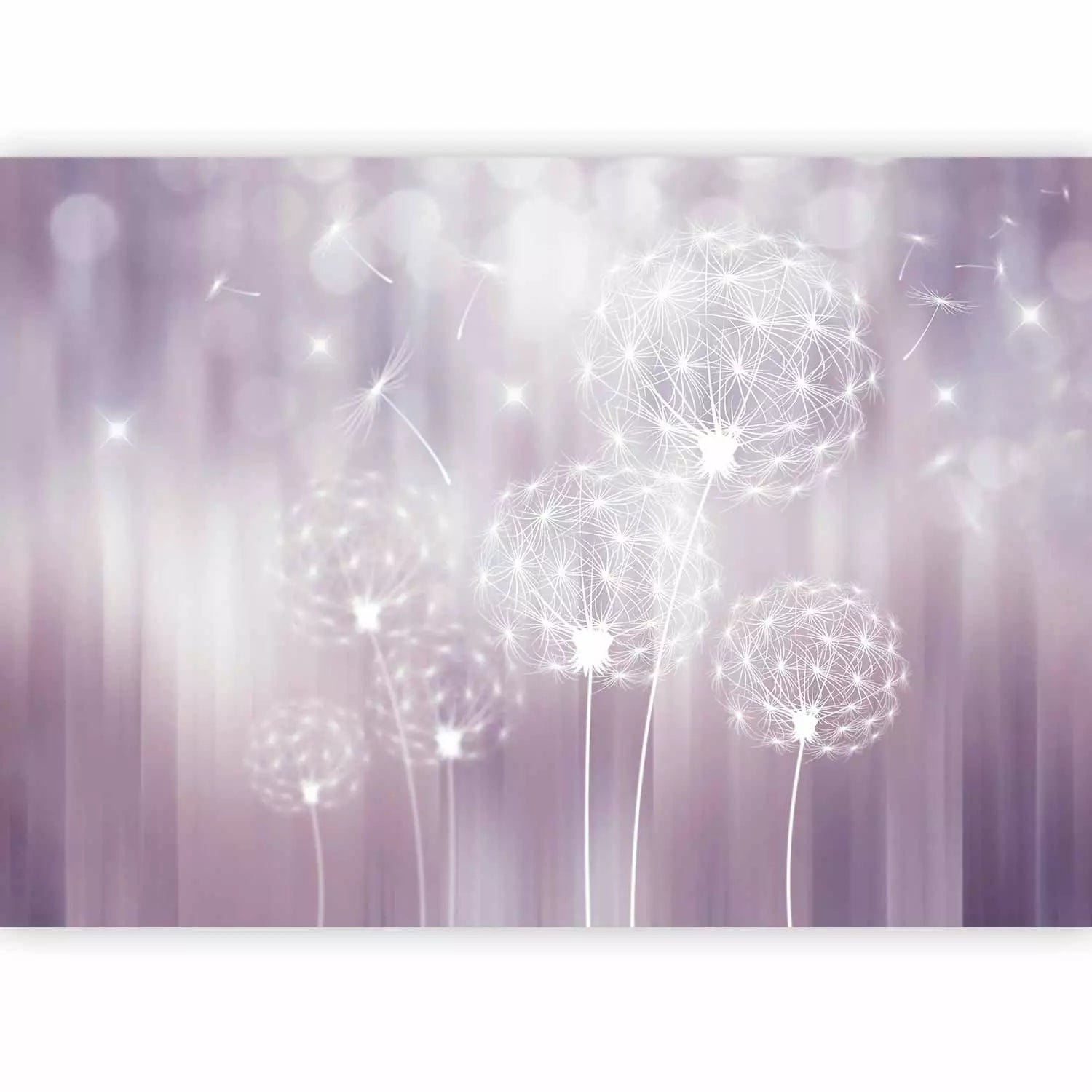 Fototapetes - stilizētas violetas pienenes ar gaismas efektiem, 69574  G-ART