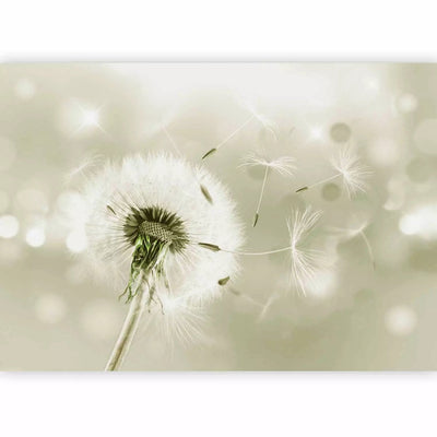 Wall Murals with dandelion - wind flowers, 65636 - order G -art