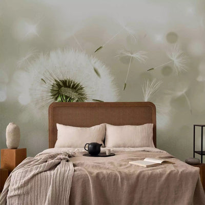 Wall Murals with dandelion - wind flowers, 65636 - order G -art