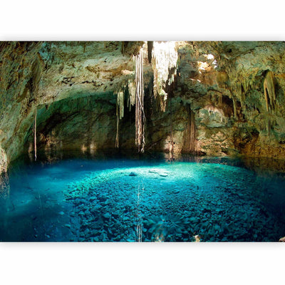 Washed Wall Murals with nature - stalactite cave - 60567g -art