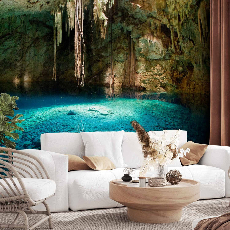 Washed Wall Murals with nature - stalactite cave - 60567g -art