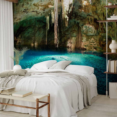 Washed Wall Murals with nature - stalactite cave - 60567g -art