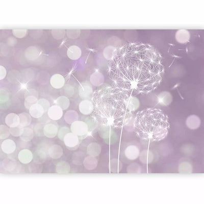 Wall Murals with dandelions - purple dandelions, 64617 g -art