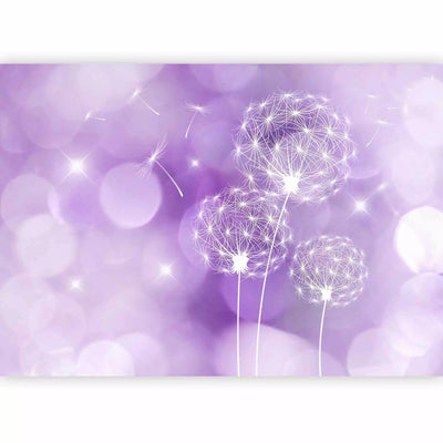 Wall Murals - Flowers in the Wind - Dandelion contours on a purple background - order G -art