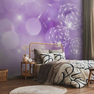 Wall Murals - Flowers in the Wind - Dandelion contours on a purple background - order G -art