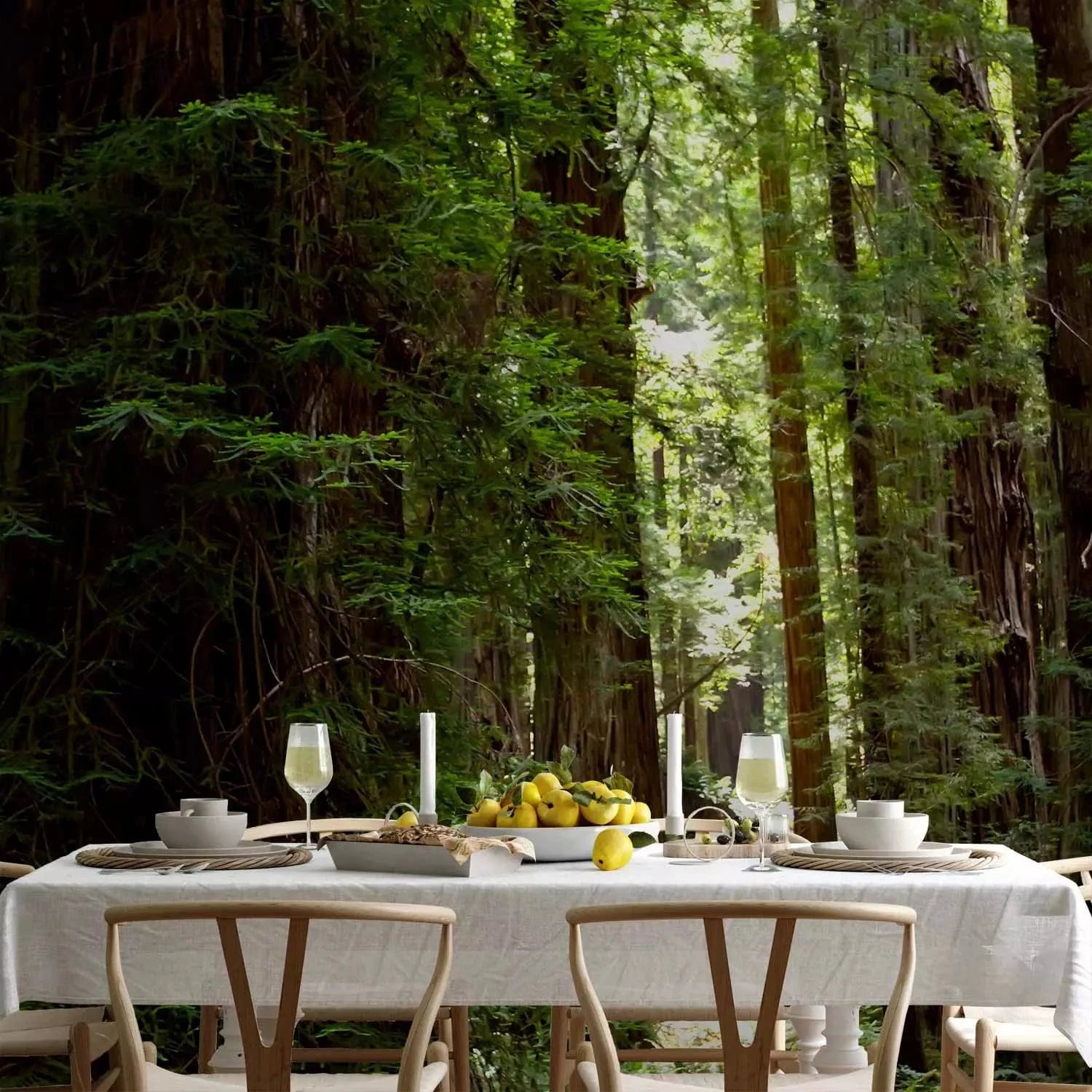 Fototapetes - Meža ainava ar veciem kokiem un zaļām lapām centrā G-ART