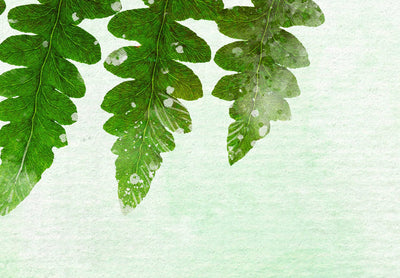 Wall Murals in green shades - Fern leaf, 143163 G-ART