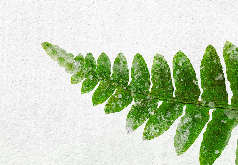 Wall Murals in green shades - Fern leaf, 143163 G-ART