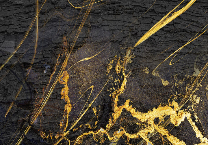 Abstrakta fototapete ar melnu ogles tekstūru ar zelta elementiem G-ART