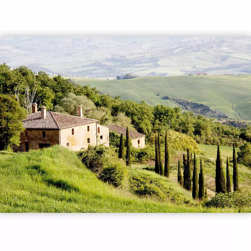 Valokuvatapetti - Toscanan auringon alla, puiden kanssa Italiassa talon kanssa 97316 G-ART