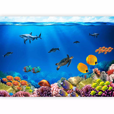 Wall Murals with fauna - ideas for children's room - underwater king G -art