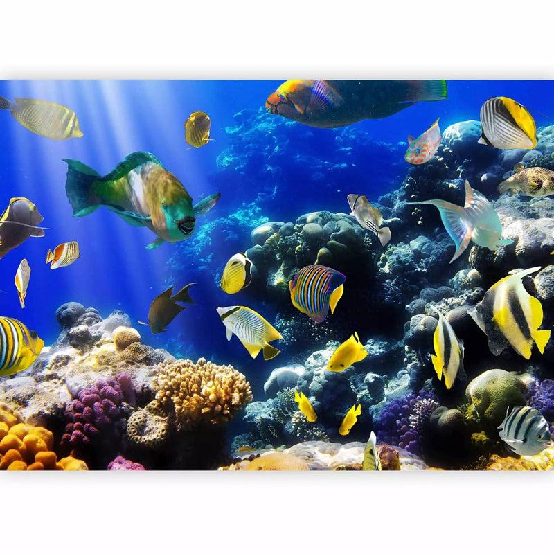 Wall Murals for children and not only - Underwater adventure, 61259G-ART