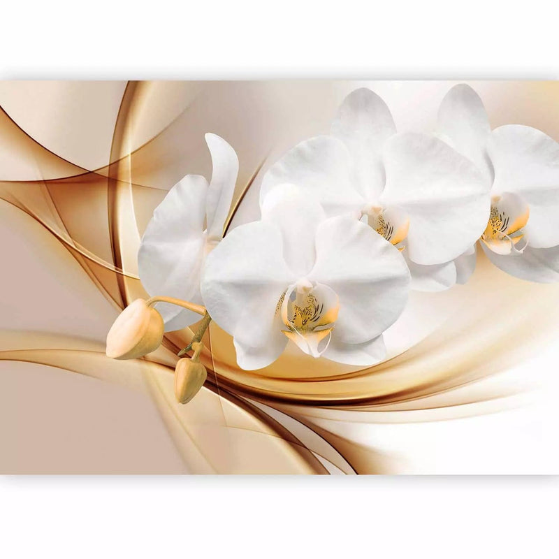 Wall Murals - Flower abstraction - orchid with buds on a fine background G -art