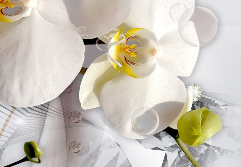 Fototapetes - ziedu kompozīcija uz balta fona ar viļņiem, 132223 G-ART