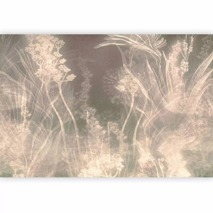 Fototapetes - ziedu kontūri uz nomierinoša fona, pelēkā, bēšā G-ART