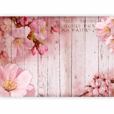 Fototapetes - ziedu motīvs rozā krāsā - Rozā ābeļziedi, 92992 G-ART