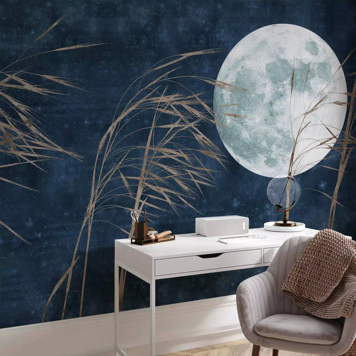 Valokuvatapetti - Korkea ruoho tummansinistä yötaivasta vasten, 151266