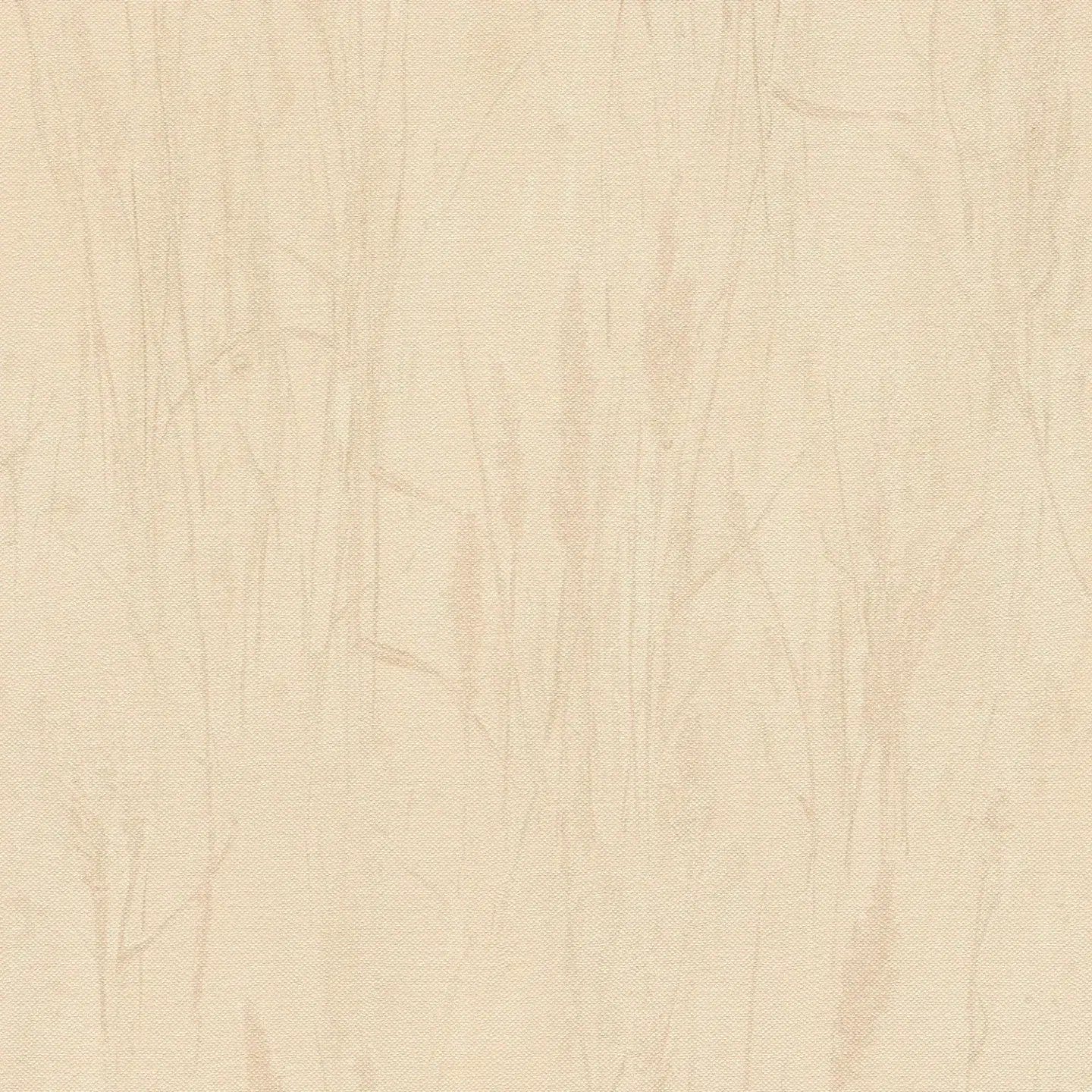 Tuvplāns: bēšas gaišas tapetes ar pļavas motīviem un virsmas reljefu. SKU: 3010640, AS Creation.