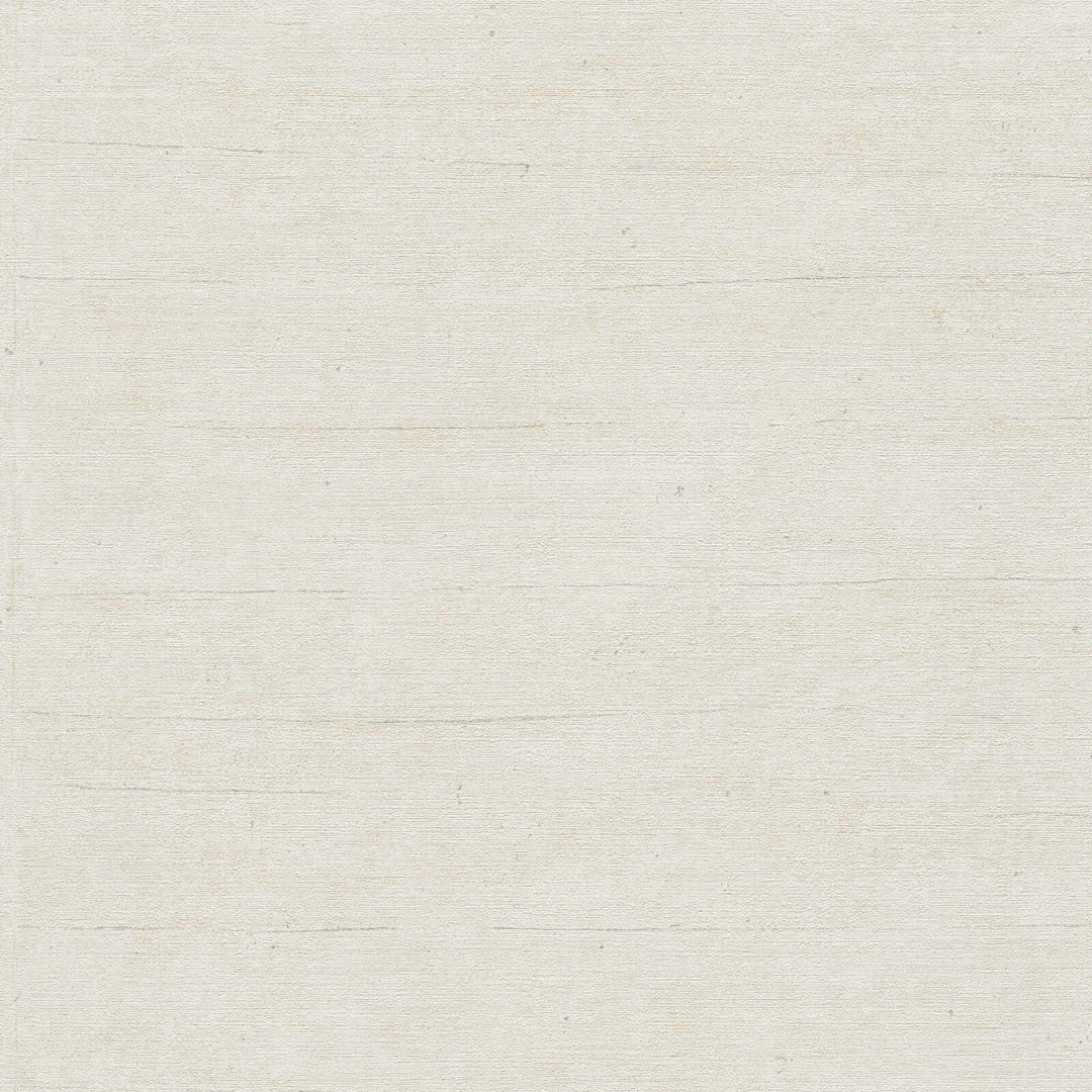 Light grayish-white textured wallpaper with a fine horizontal fiber pattern, close-up