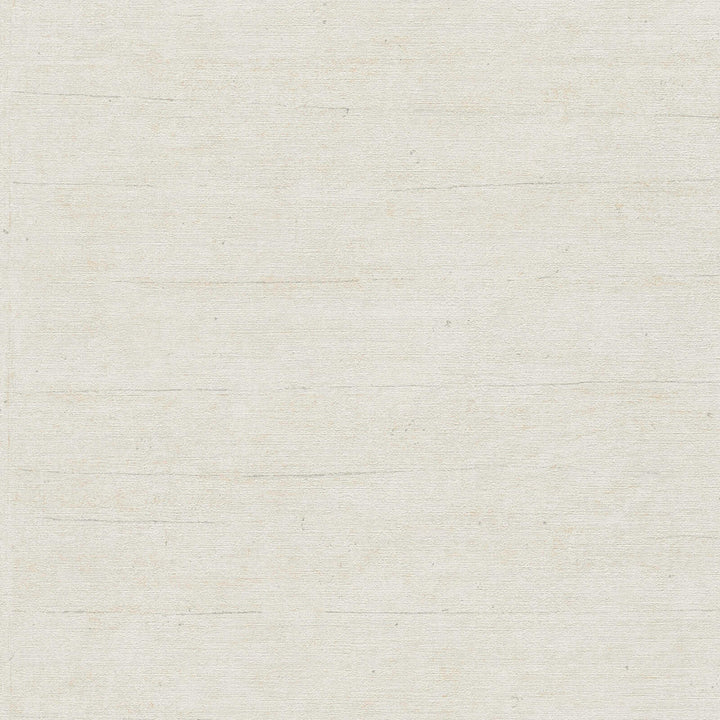 Light grayish-white textured wallpaper with a fine horizontal fiber pattern, close-up