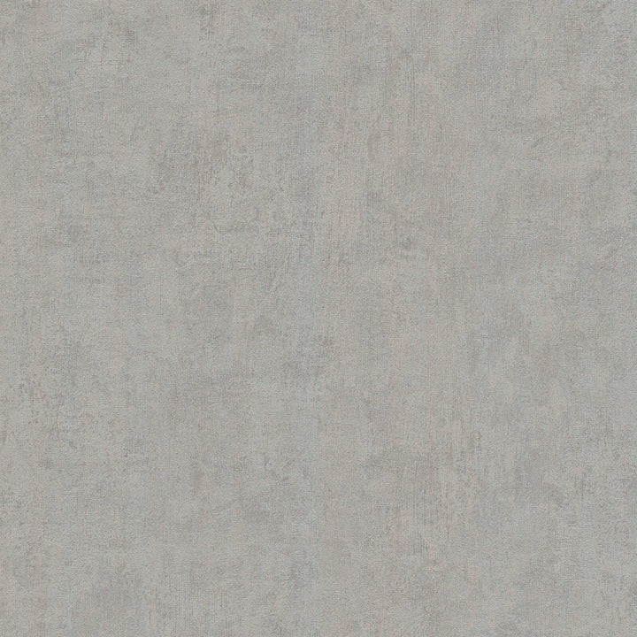 Gray wallpaper with a delicate plaster texture, close-up