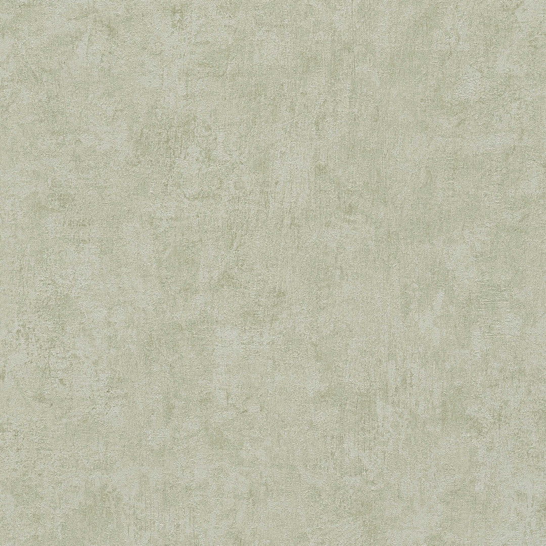 Light greenish-gray wallpaper with a delicate plaster texture, close-up