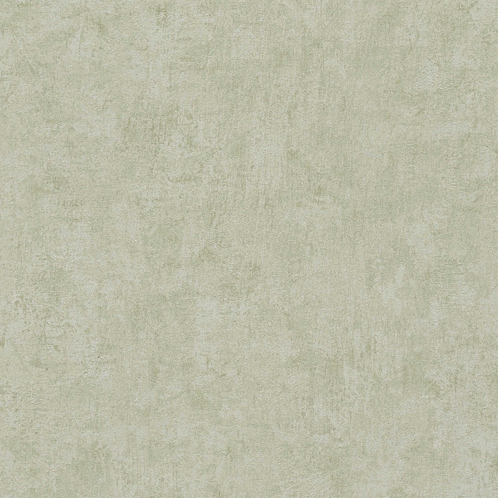 Light greenish-gray wallpaper with a delicate plaster texture, close-up