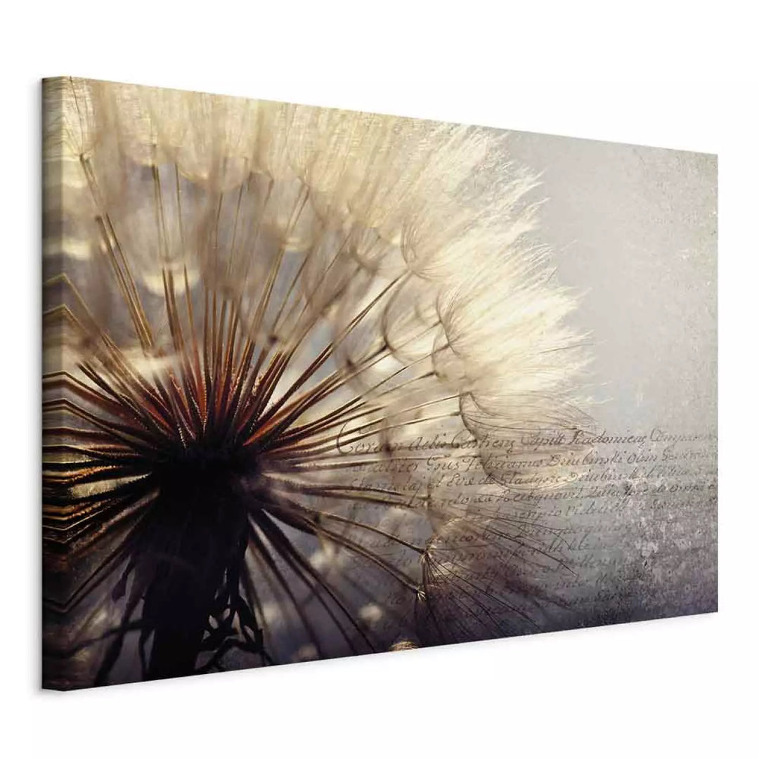 Glezna ar pienenēm vintāžas stilā - Vasaras maigums, pelēkos krāsā ART XL