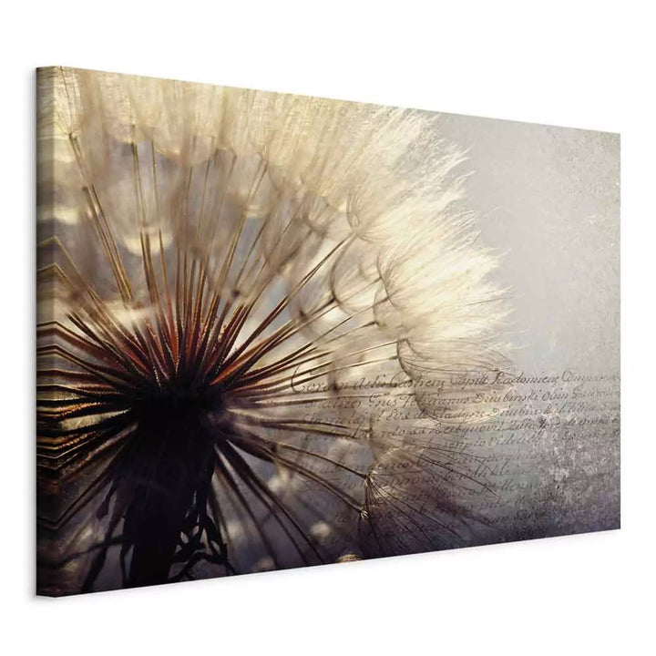 Glezna ar pienenēm vintāžas stilā - Vasaras maigums, pelēkos krāsā ART XL