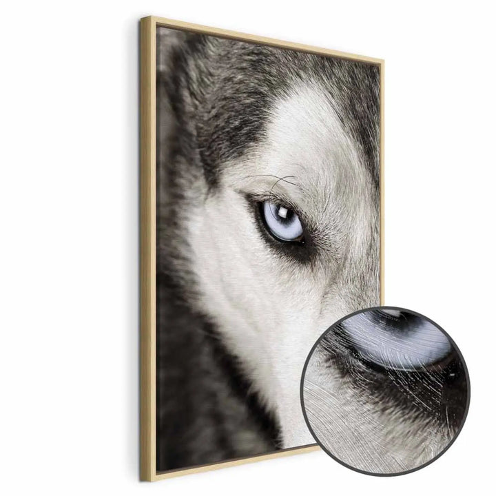 #apdare_royal