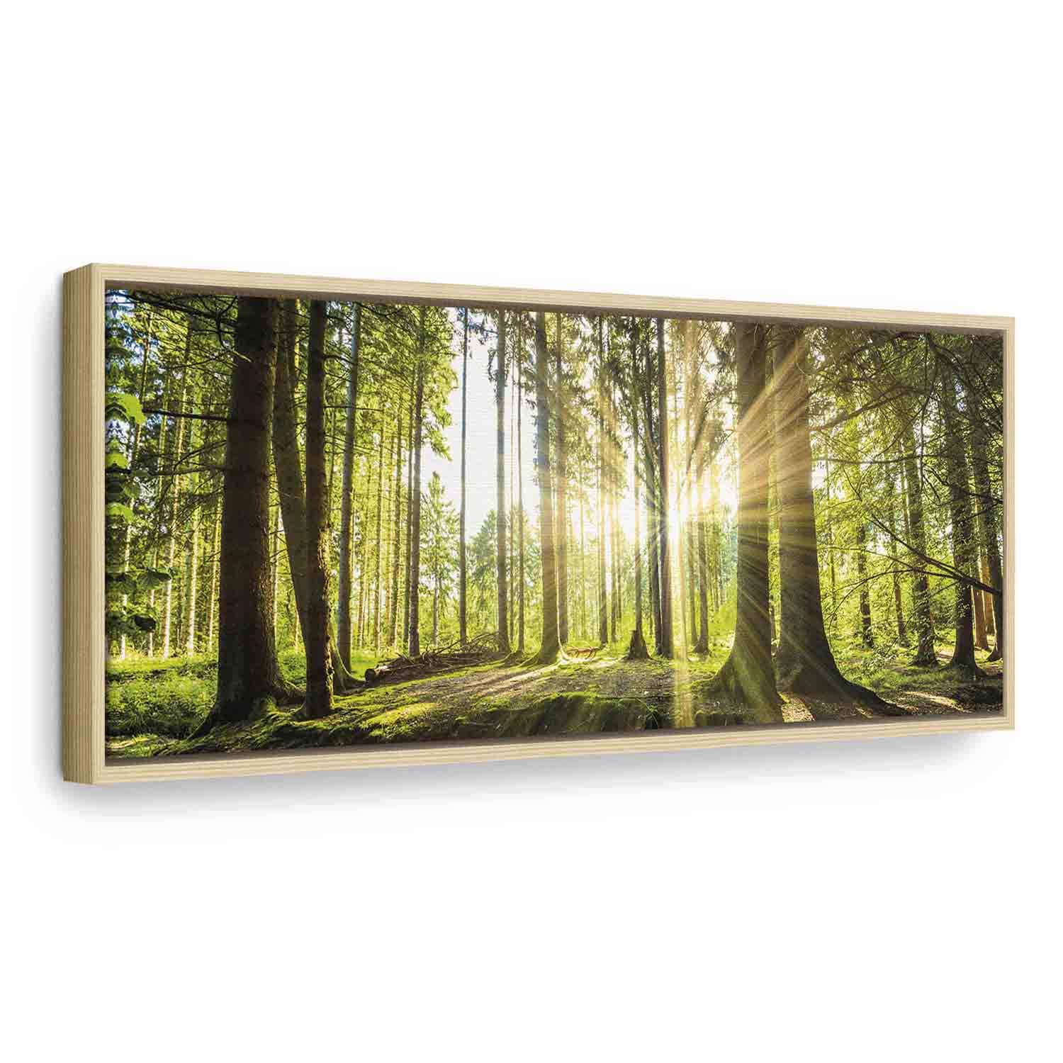 Glezna koka rāmī - Saulains mežs - Dienas gaisma G ART