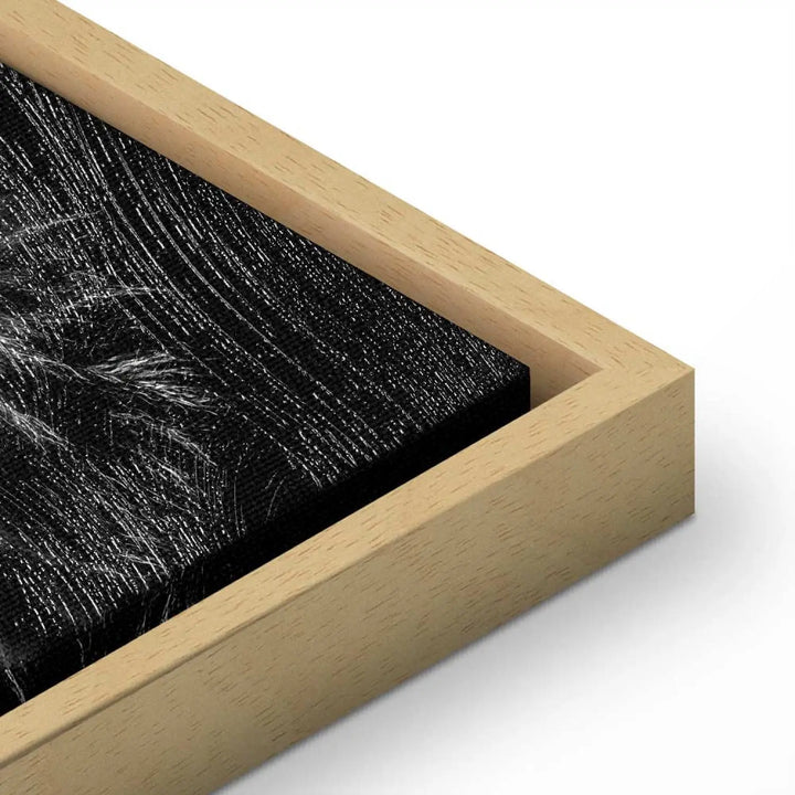 #apdare_royal