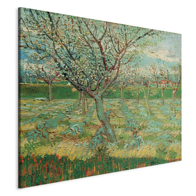 Maalauksen lisääntyminen (Vincent Van Gogh) - hedelmäpuutarha, jossa on kukkivat aprikoosit G -taidetta