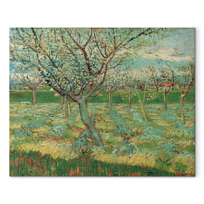 Maalauksen lisääntyminen (Vincent Van Gogh) - hedelmäpuutarha, jossa on kukkivat aprikoosit G -taidetta