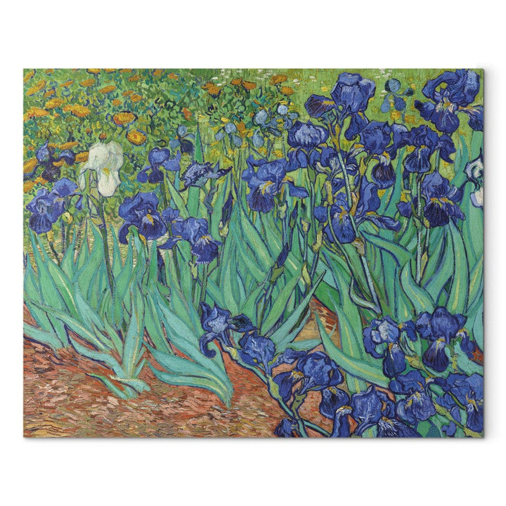 Gleznas reprodukcija /Vinsents van Gogs/ - Īrisi G ART