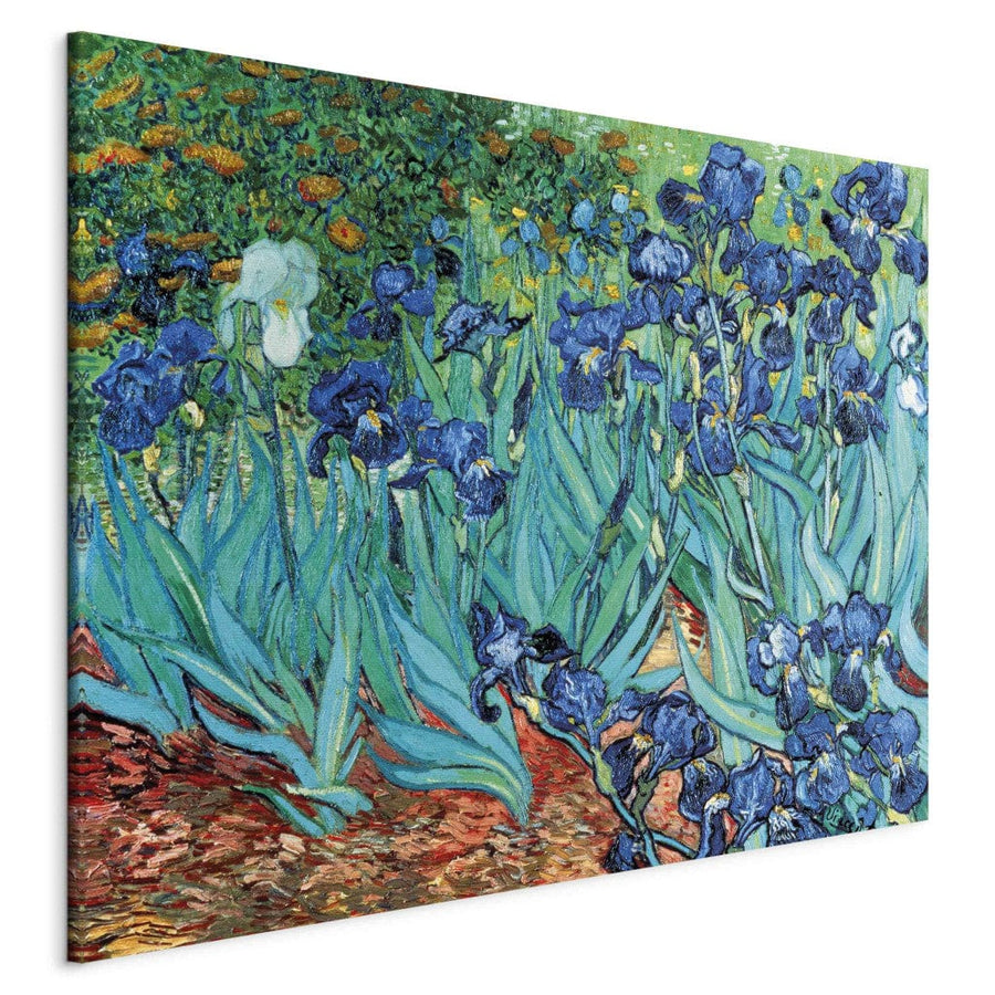 Gleznas reprodukcija /Vinsents van Gogs/ - Īrisi - Sen Remī G ART