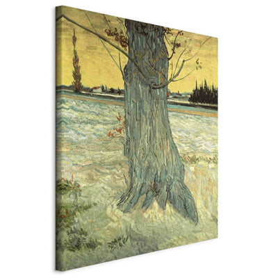 Maalauksen lisääntyminen (Vincent Van Gogh) - Wood G Art