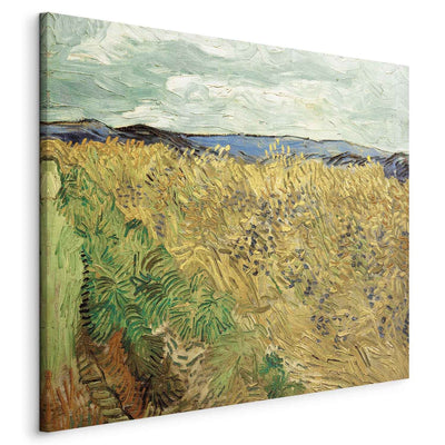 Reproduction of painting (Vincent van Gogh) - Wheat field with cornflower g art