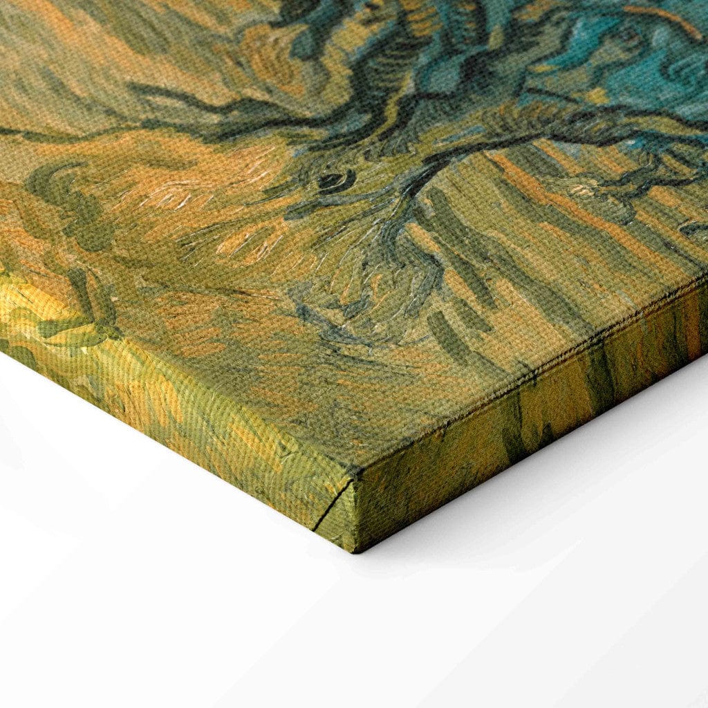 Gleznas reprodukcija /Vinsents van Gogs/ - Olīvkoki G ART