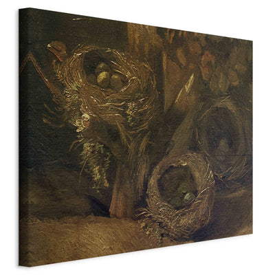 Maalauksen lisääntyminen (Vincent Van Gogh) - Bird's Nest G -taide