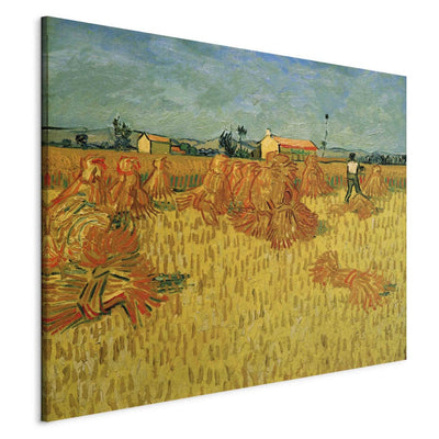 Maalauksen lisääntyminen (Vincent Van Gogh) - Korjuu Provence G Artissa