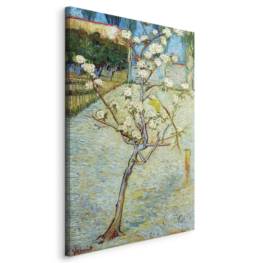 Gleznas reprodukcija /Vinsents van Gogs/ - Ziedošs bumbieru koks G ART