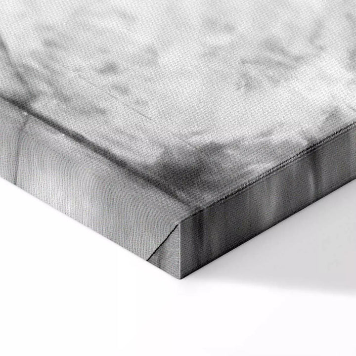 Canvas-taulut - Kalpone (x 1)