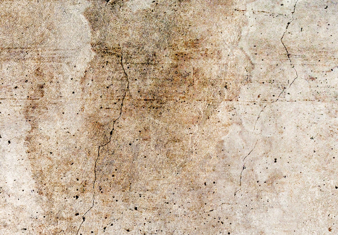 Glezna - Abstrakta kompozīcija pasteļbrūnos toņos - 151427 G-ART