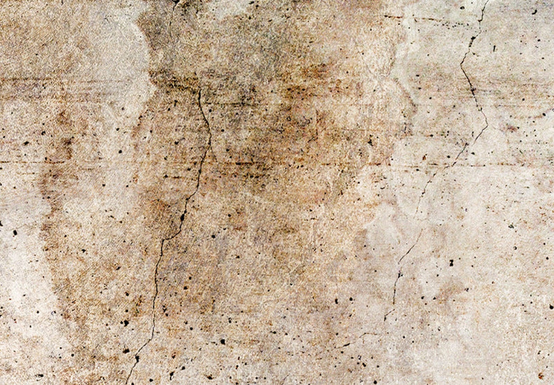 Glezna - Abstrakta kompozīcija pasteļbrūnos toņos, 151427 Tapetenshop.lv